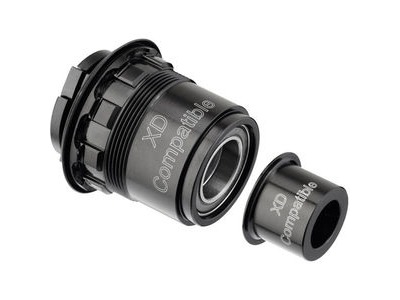 DT Swiss Pawl freehub conversion kit for SRAM XD, 142/12mm or BOOST